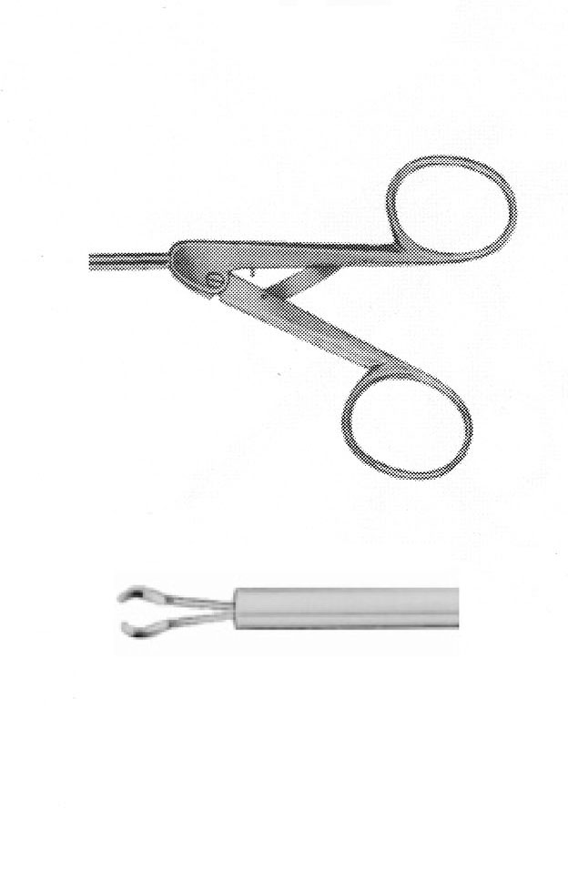 PANSUMAN FORSEPS , OVAL ÇAP  10 MM